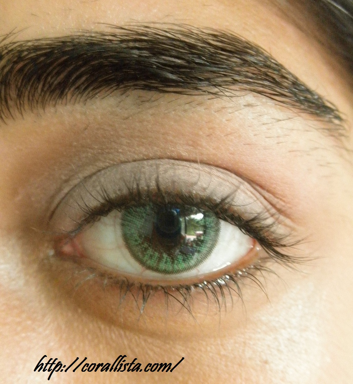 Brown Eye Makeup Tutorial Neutral Pink And Brown Office Wear Eye Makeup Step Wise Photo