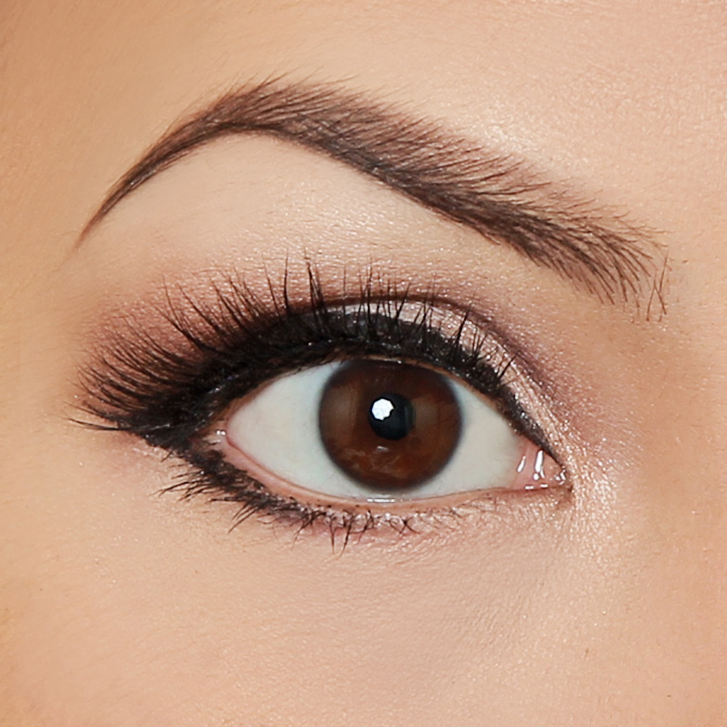 Classic Eye Makeup How To Create A Classic Glamour Eye Makeup Pictorial Thoughts From
