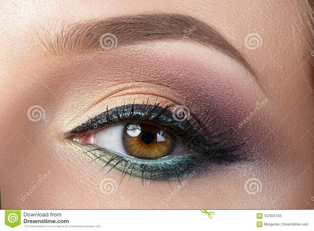 Evening Eye Makeup Closeup View Of Woman Eye With Evening Makeup Stock Image Image Of