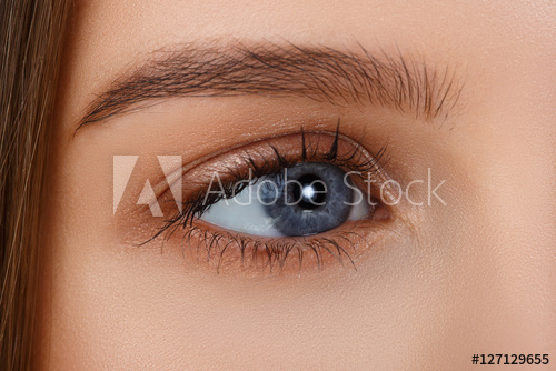 Images Of Beautiful Eyes Makeup Eye Makeup Beautiful Eyes Make Up Holiday Makeup Detail Long