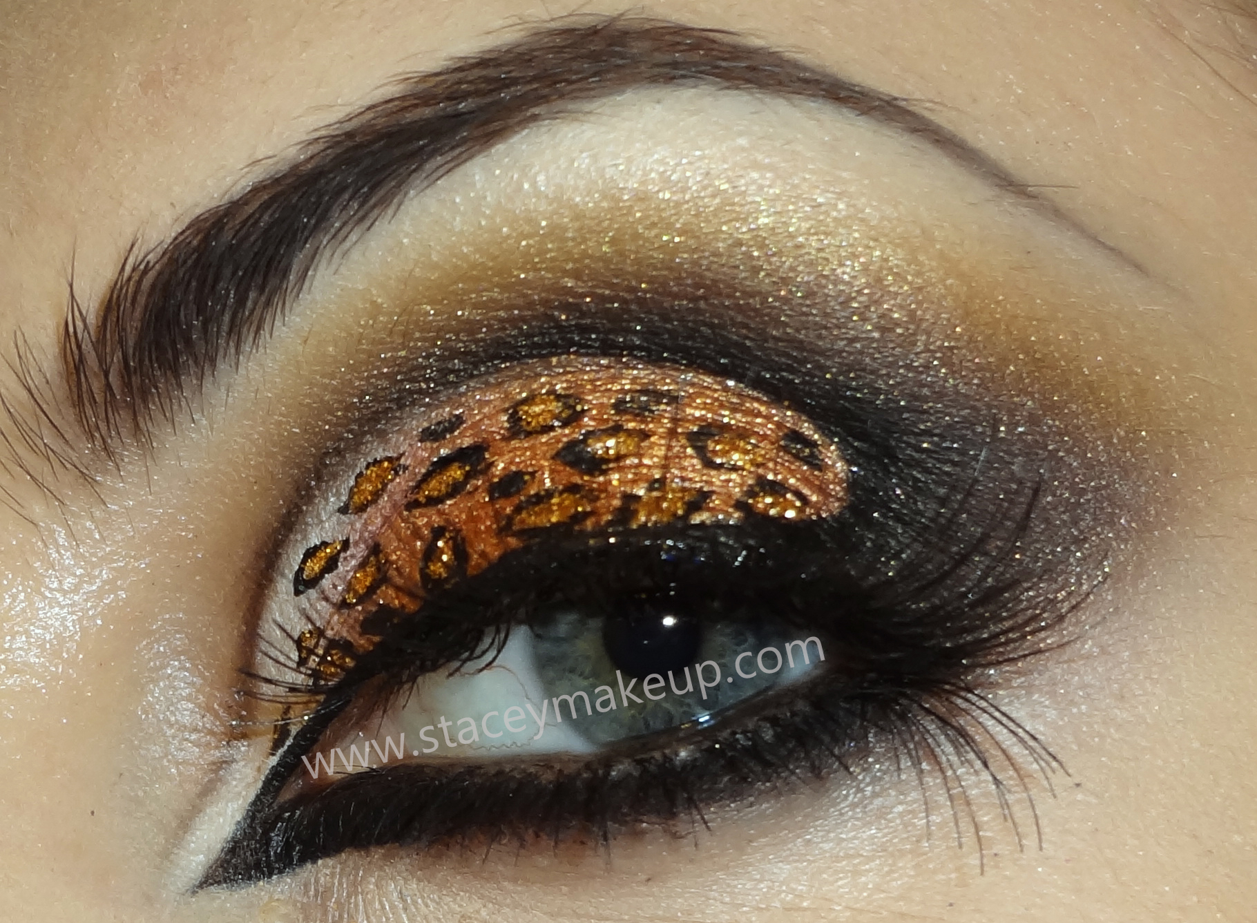 Leopard Eye Makeup Sexy Leopard Eyes Woman Fashion Nicepricesell