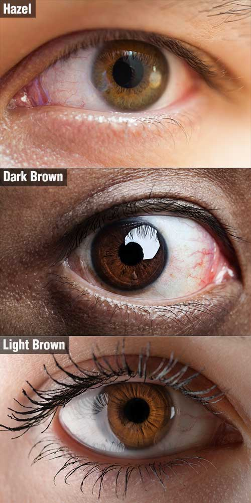 Makeup Colors For Dark Brown Eyes How To Choose The Right Hair Color For Your Brown Eyes