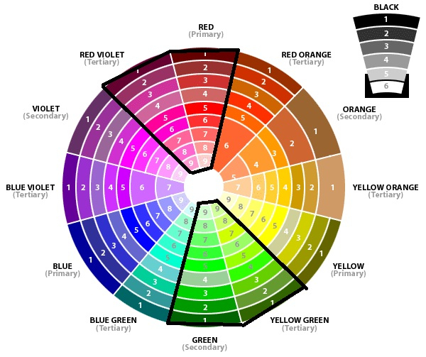 Makeup Colour Wheel For Eyes How To Choose The Best Eyeshadow Colors For Your Eyes Hey Gorgeous