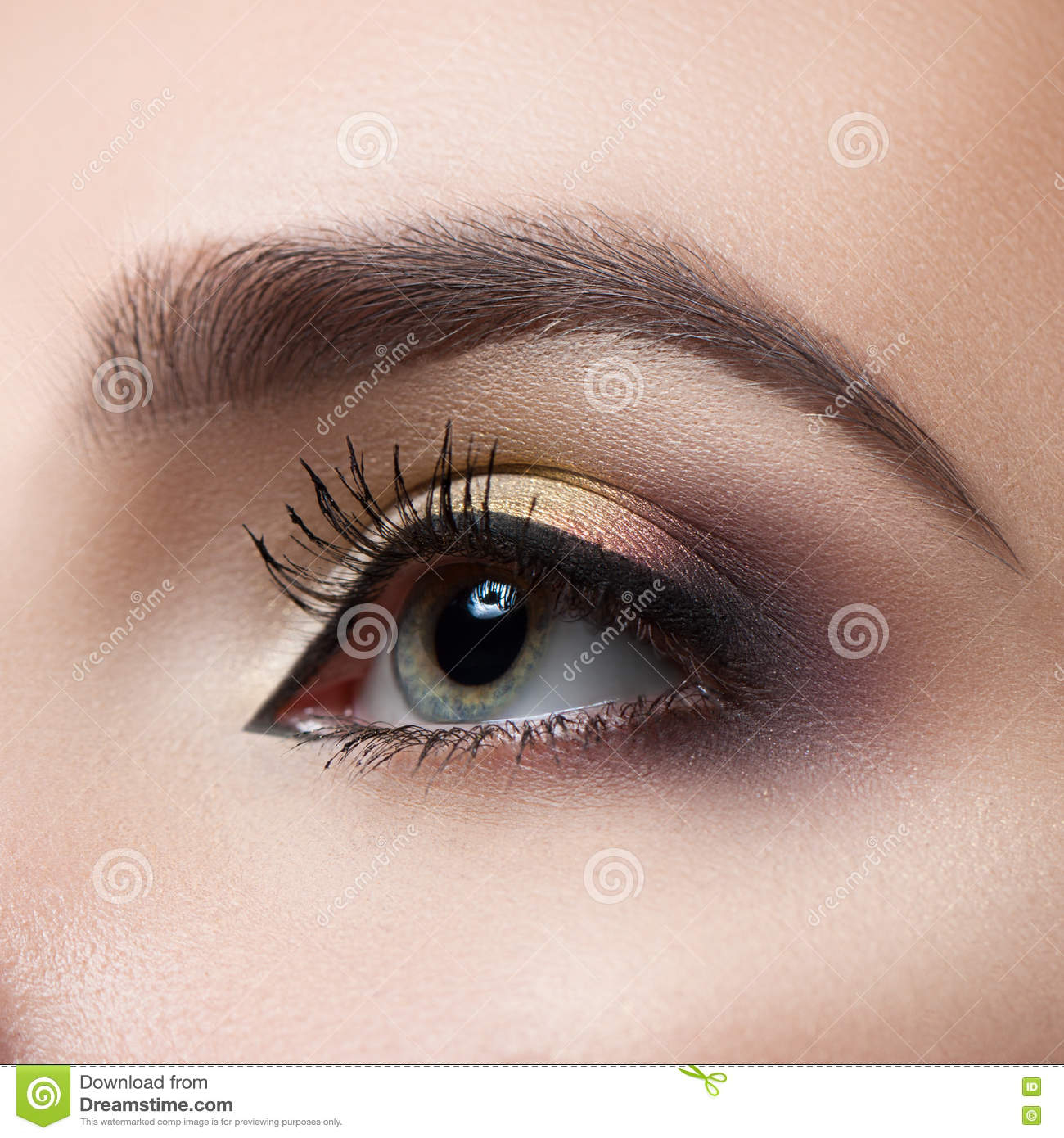 Makeup For Gray Eyes Female Eye Close Up Perfect Makeup And Eyebrows Beautiful Gray