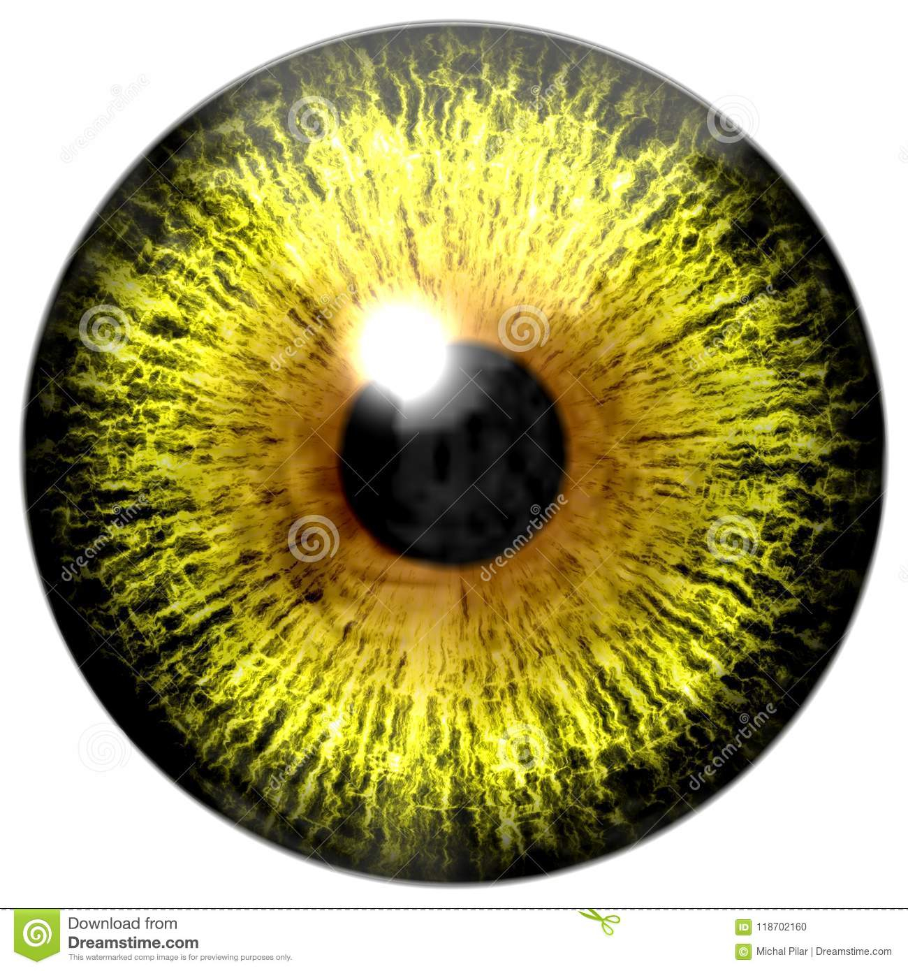 Yellow And Black Eye Makeup Yellow Eye Texture Stock Illustration Illustration Of Makeup